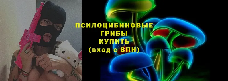 Псилоцибиновые грибы Psilocybe  где купить наркоту  гидра ссылки  Нестеров 